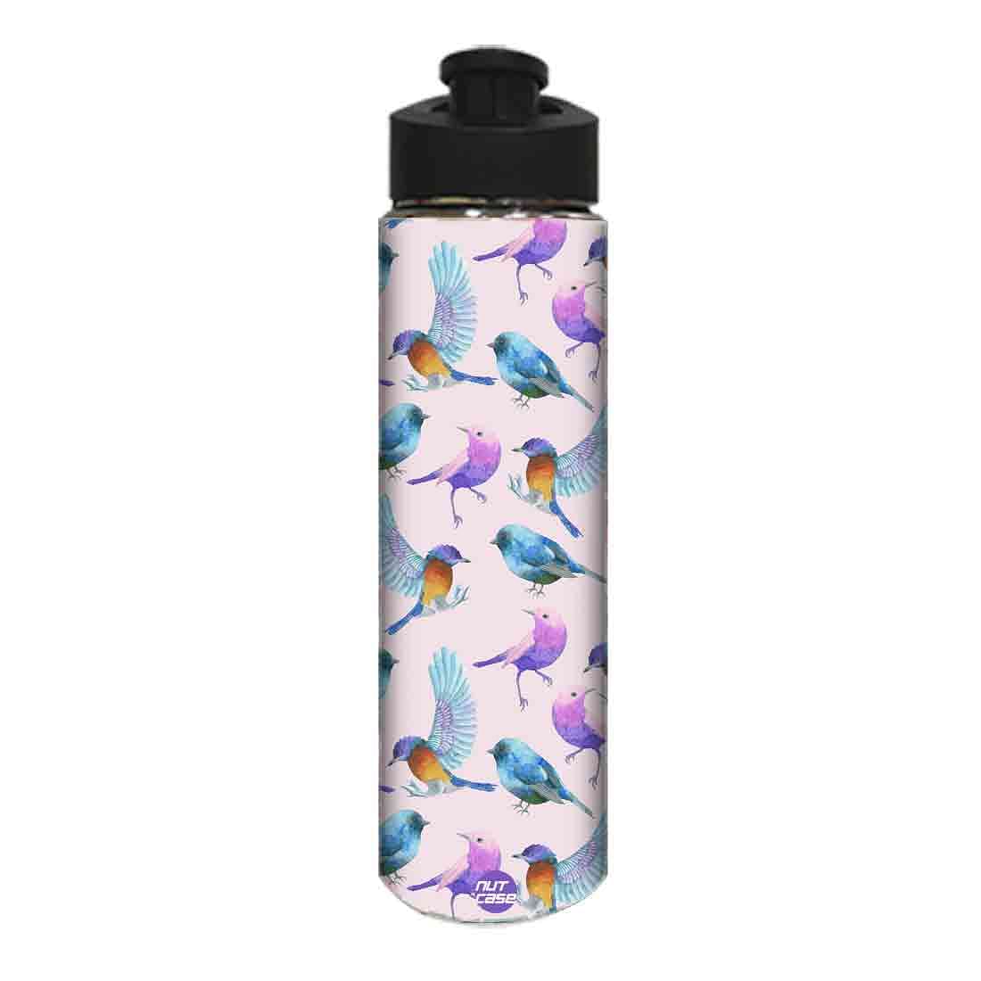 Designer Stainless Steel Sipper Bottle - Watercolor Birds