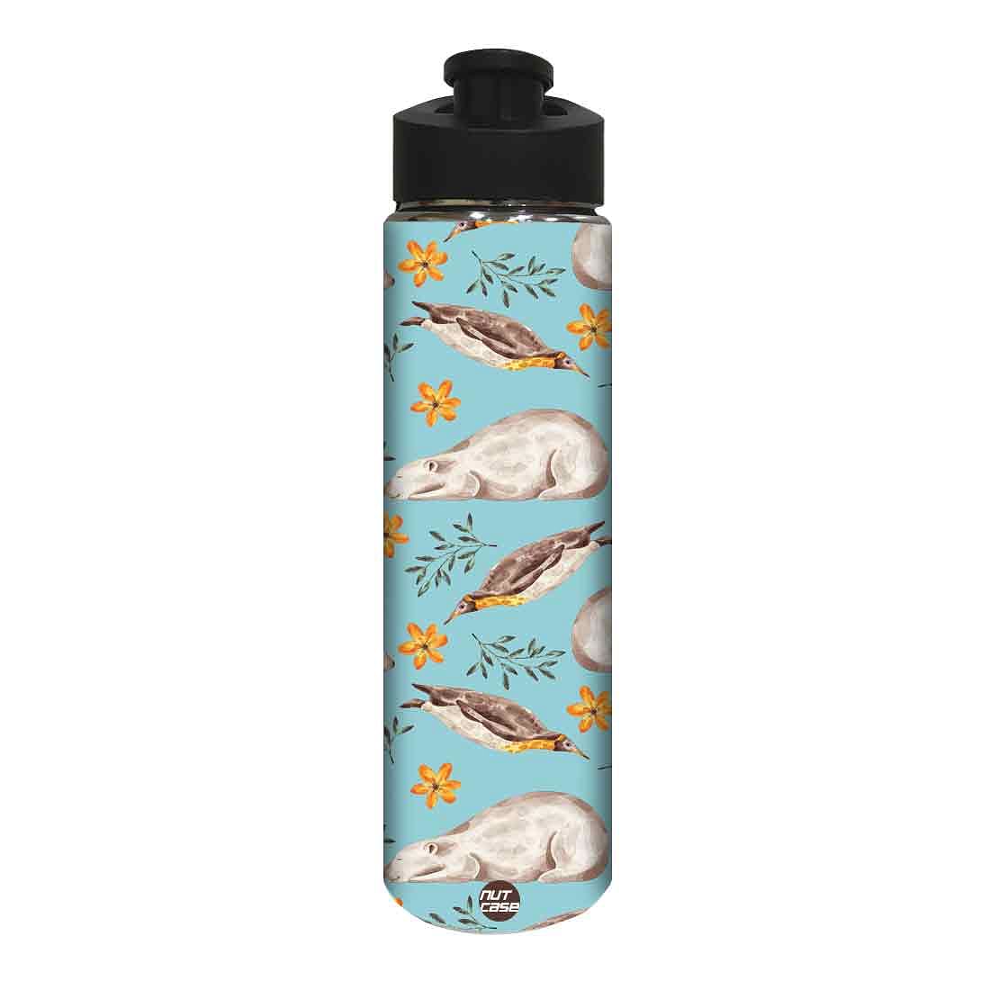 Designer Stainless Steel Sipper Bottle - Bear and Flower