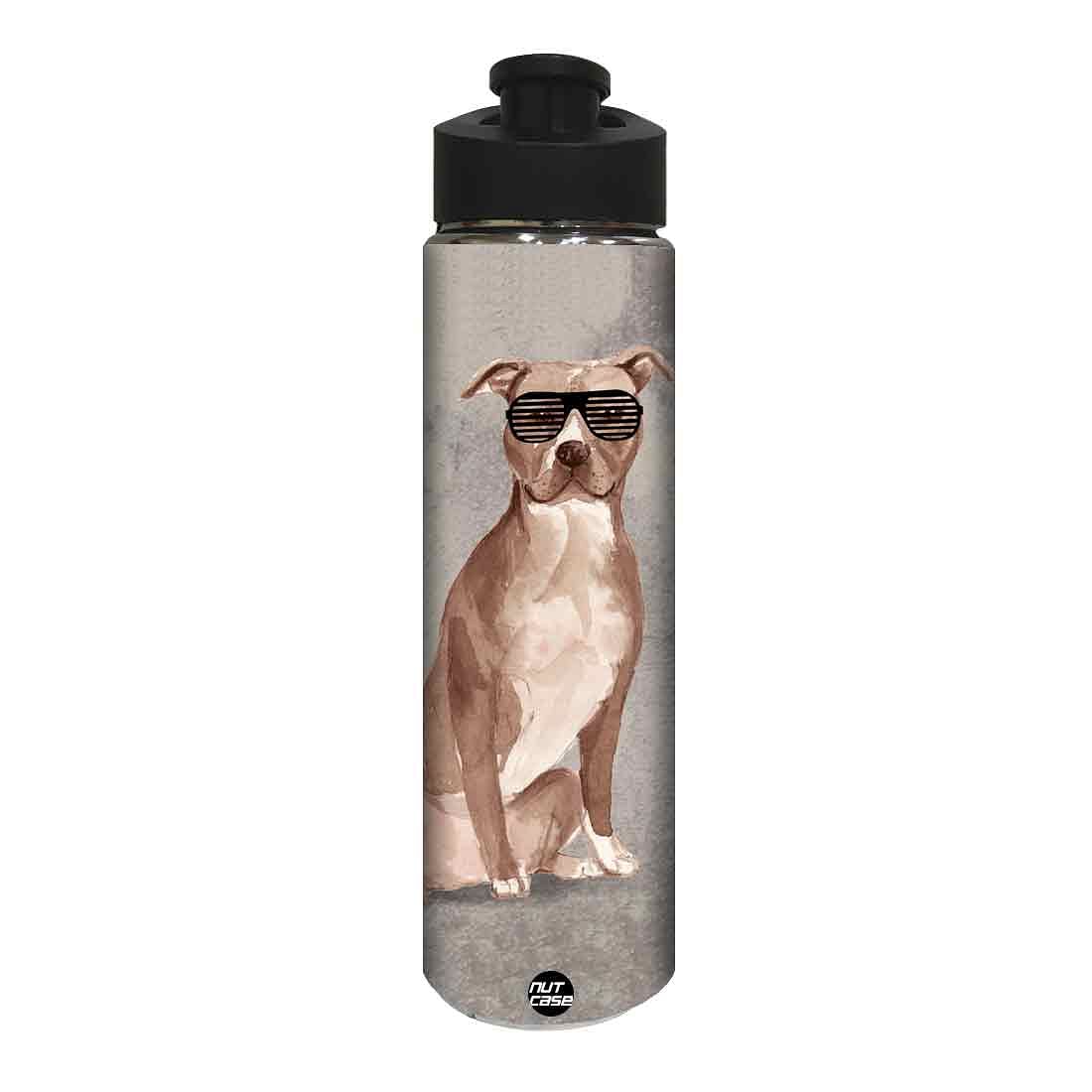 Water Bottle for Kids - Shades on Dog