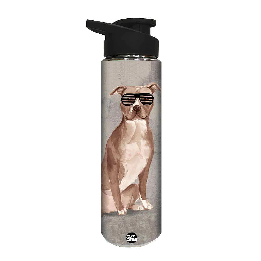 Water Bottle for Kids - Shades on Dog - Image 2