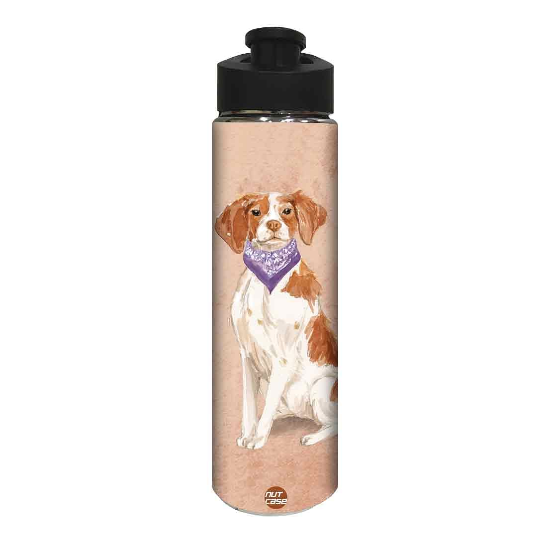 Stainless Steel Sipper Bottle - Smart Hip Dog