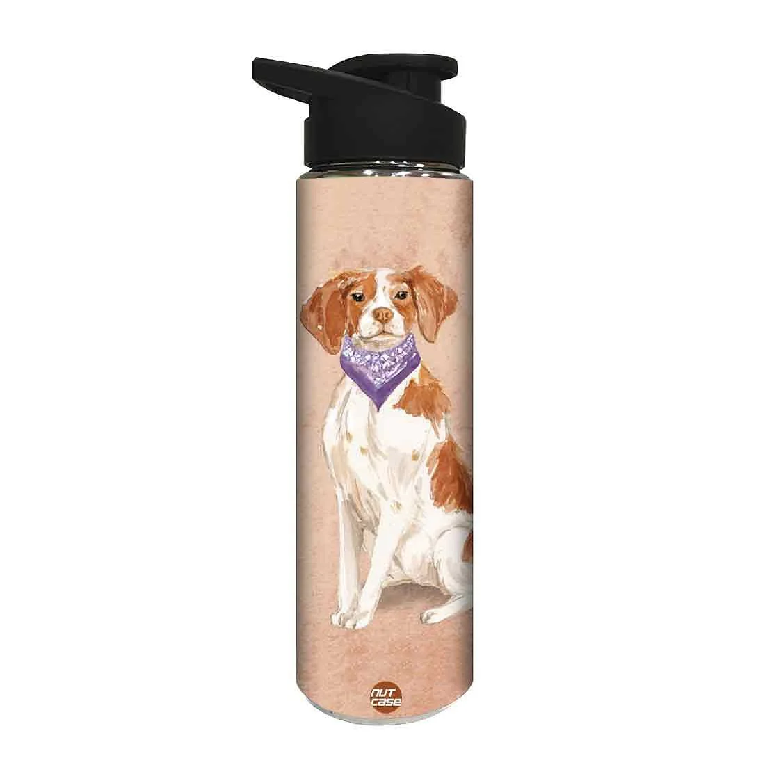 Stainless Steel Sipper Bottle - Smart Hip Dog - Image 2