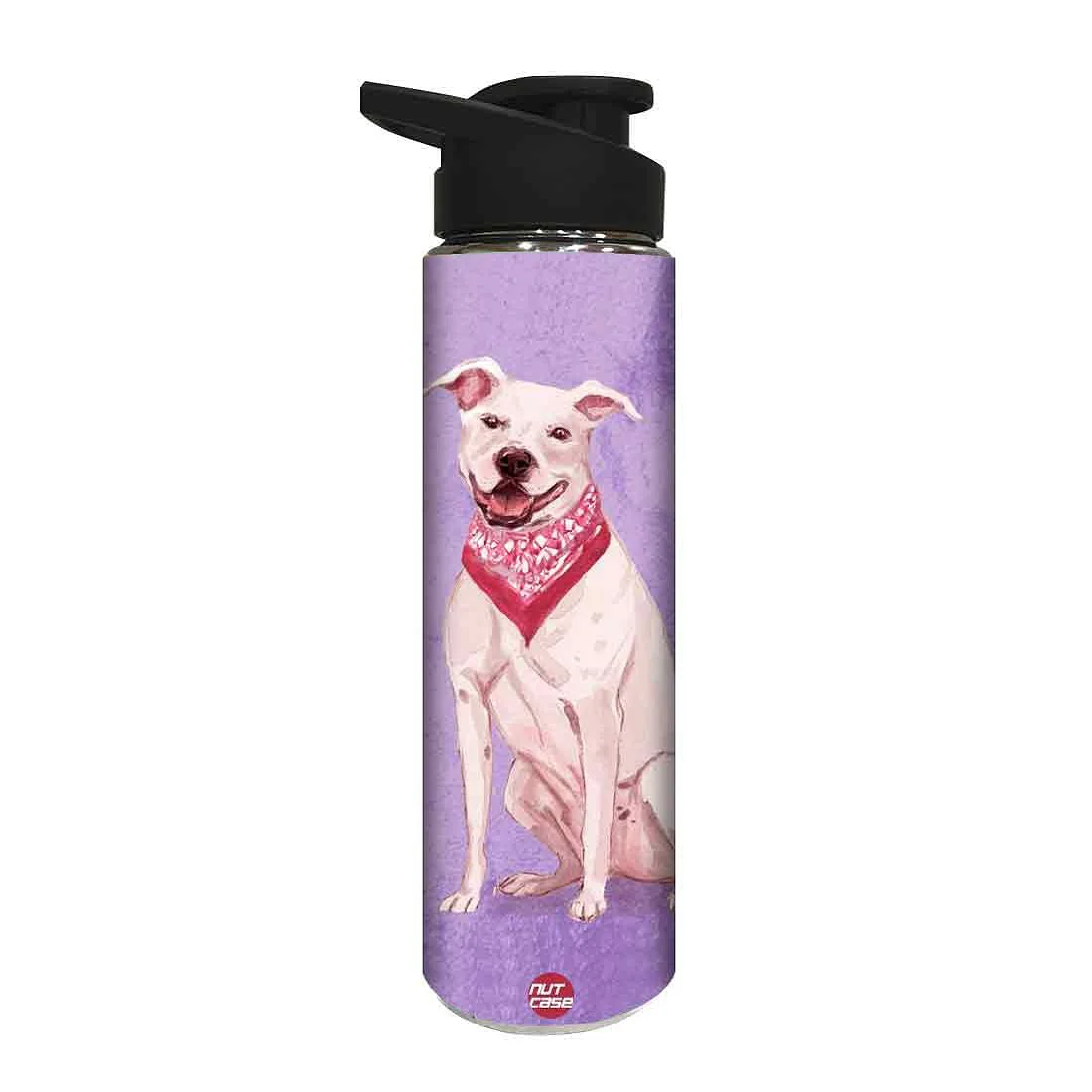 Return Gifts for Birthday Party - Cute Smart Dog - Image 2
