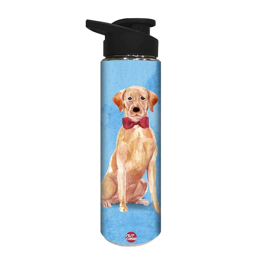 Children Bottle for Birthday Return Gifts Ideas - Sweet Dog - Image 2