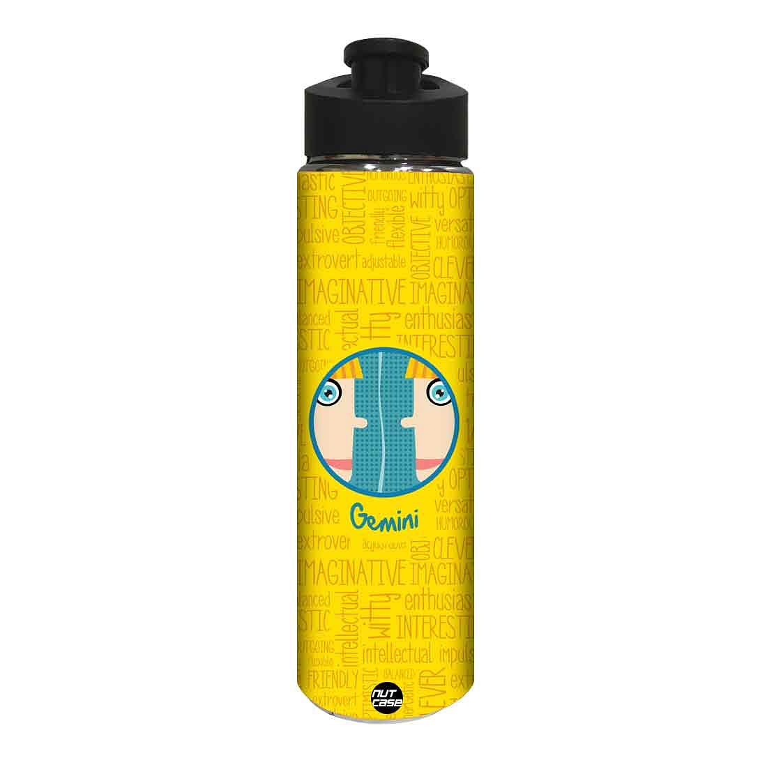 Designer Stainless Steel Water Bottle - Gemini Zodiac Signs