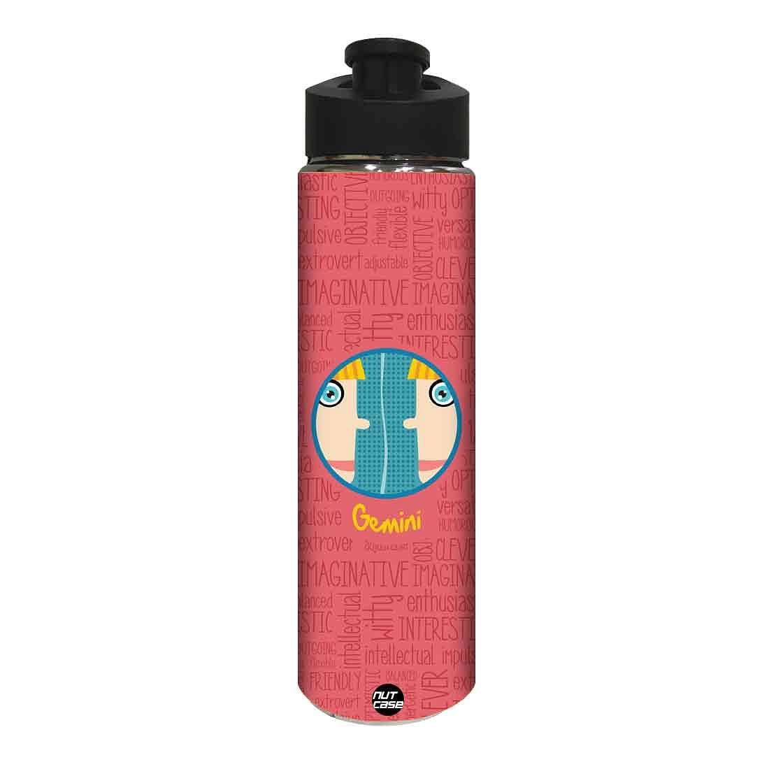 Stainless Steel Water Bottle - Gemini